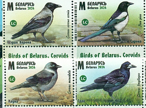 Беларусь, 2024, Птицы, Врановые. 4 марки